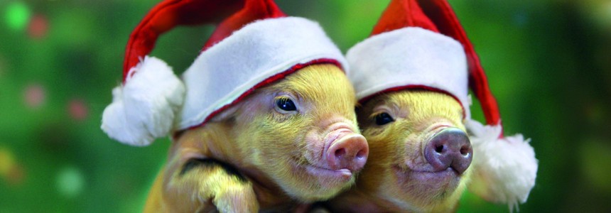 Christmas at Pennywell